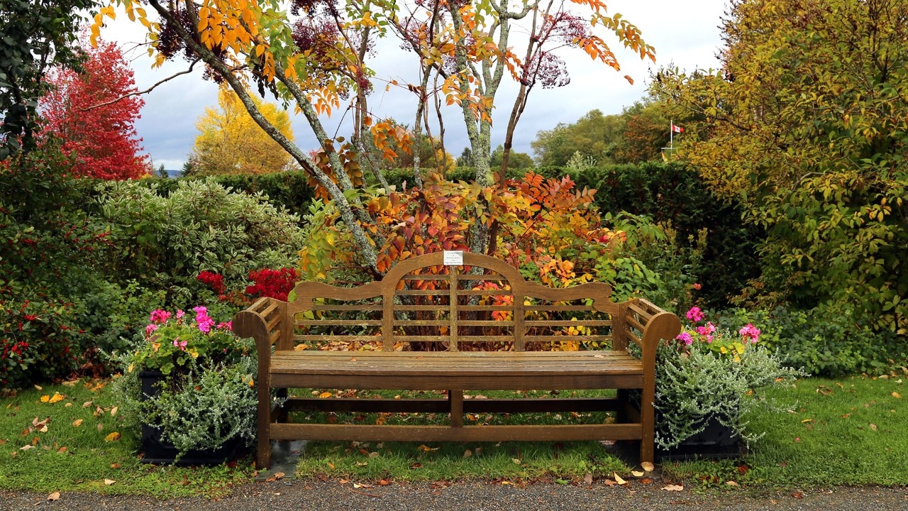 Beautiful flowers surround a bench in Kingsbrae Gardens.