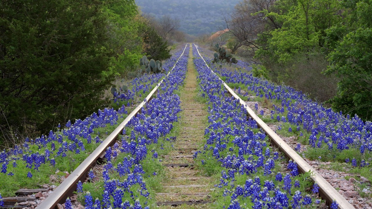 Abandoned railroad tracks in the Texas Hill Country