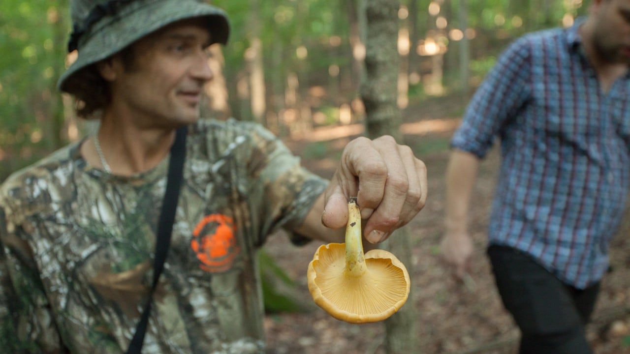 Hazlett shows off a particularly large chanterelle that he found.