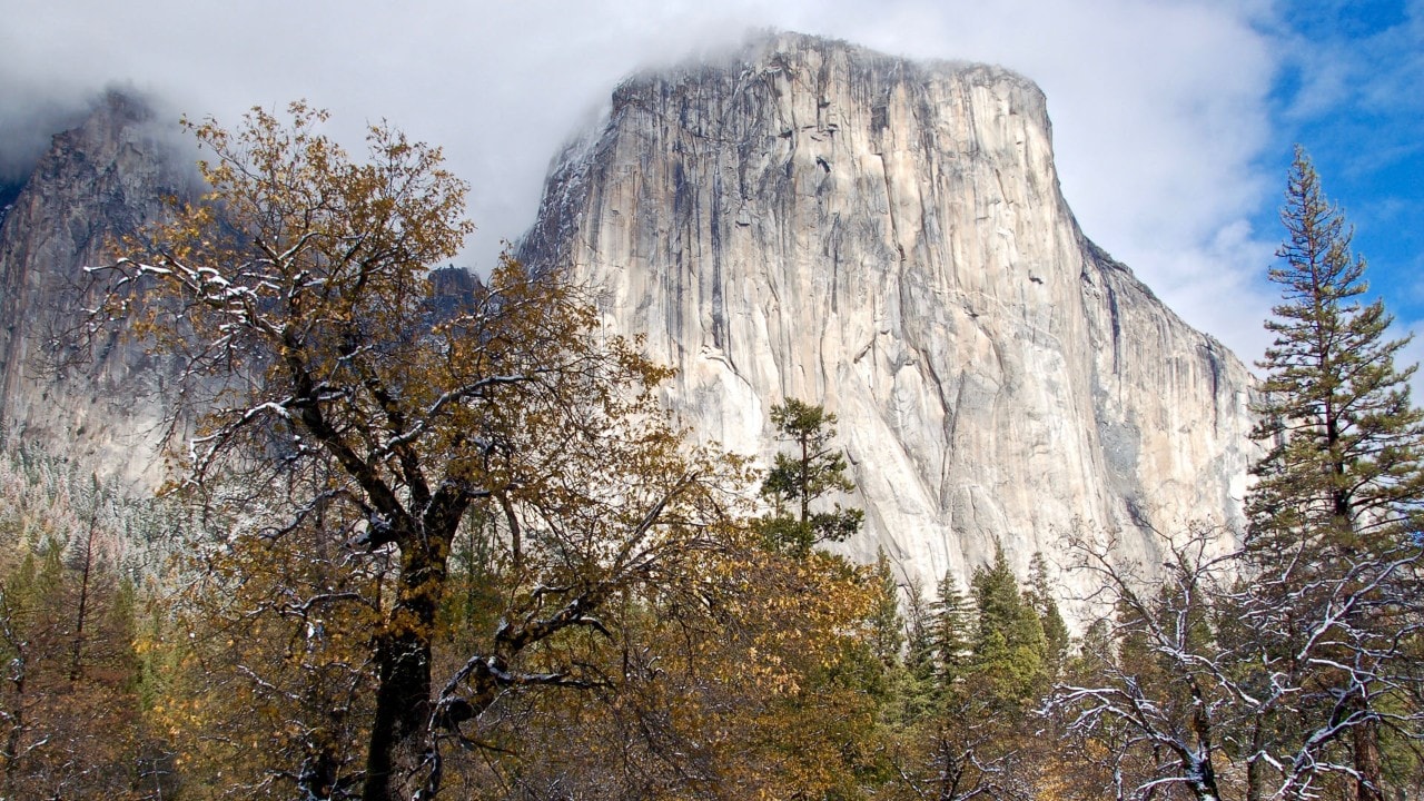 El Capitan, a granite monolith, dominates Yosemite valley.