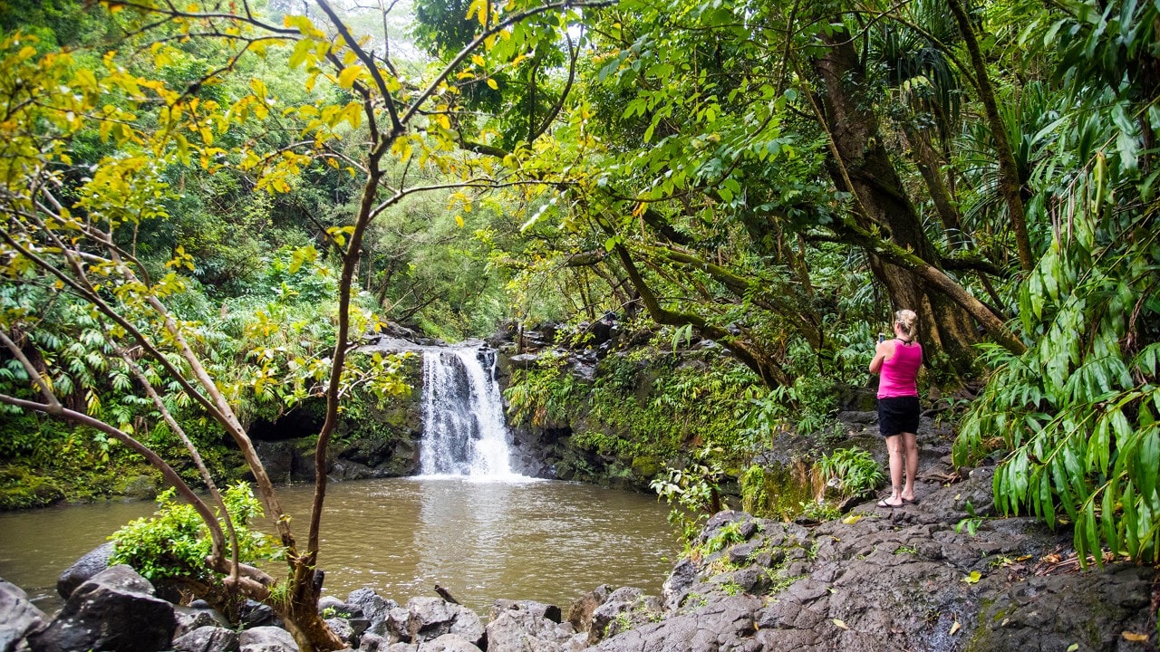 Waikamoi Falls along the Road to Hana