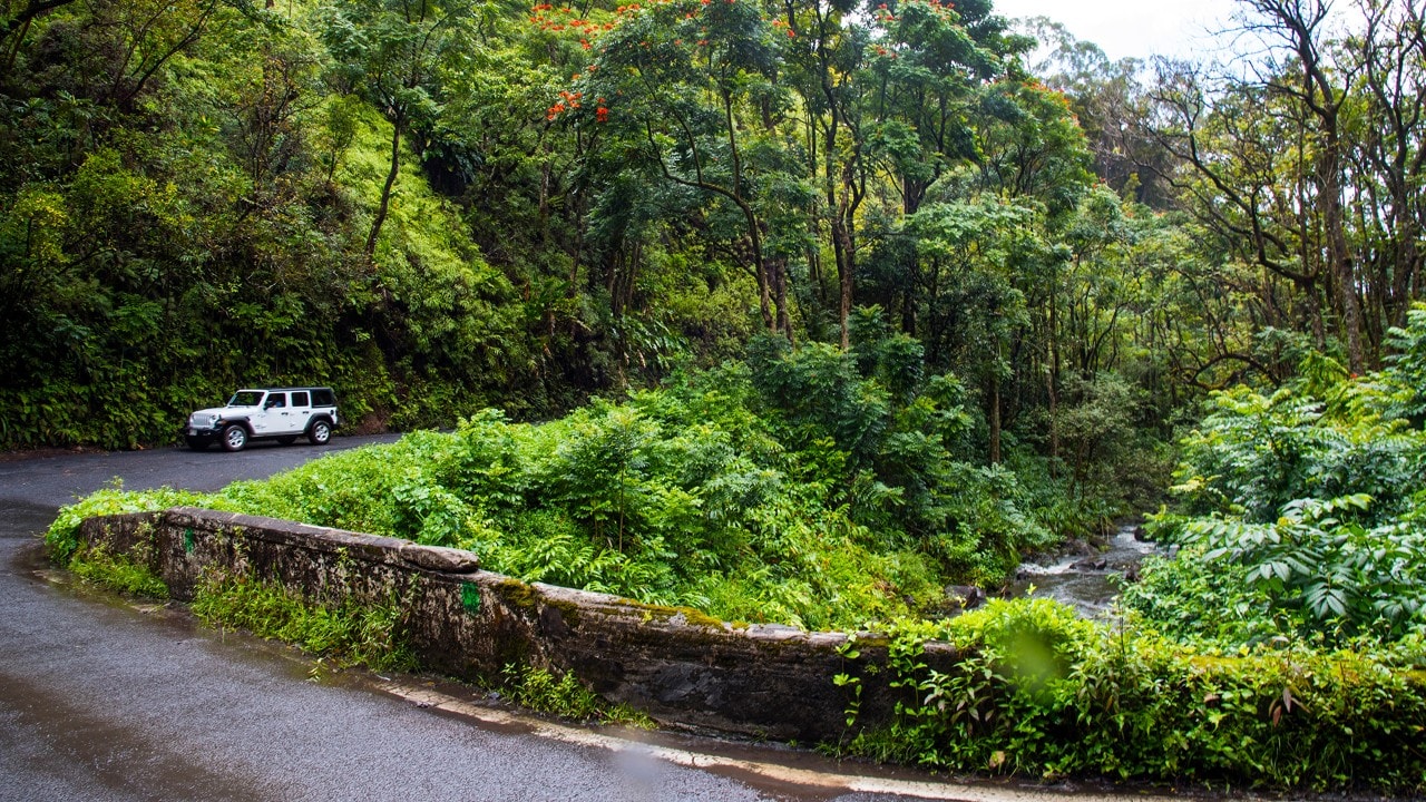 The Road to Hana features about 600 turns, lush vegetation and one-lane bridges. 