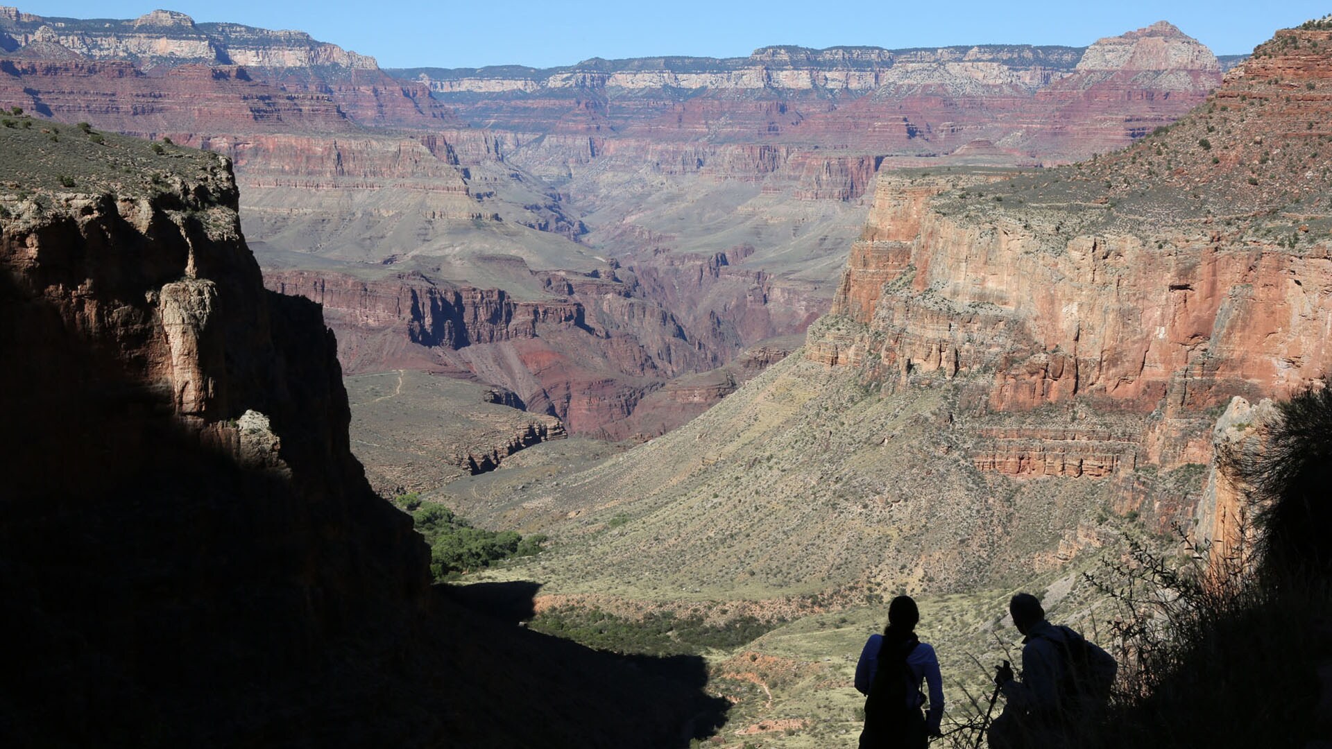 Coconino National Forest