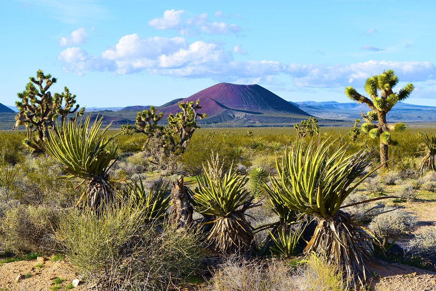 Volcanic Cinder Cones - Mojave National Preserve