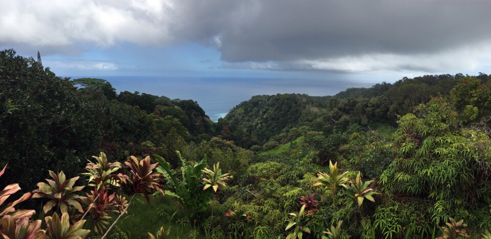 Garden of Eden Arboretum & Botanical Garden