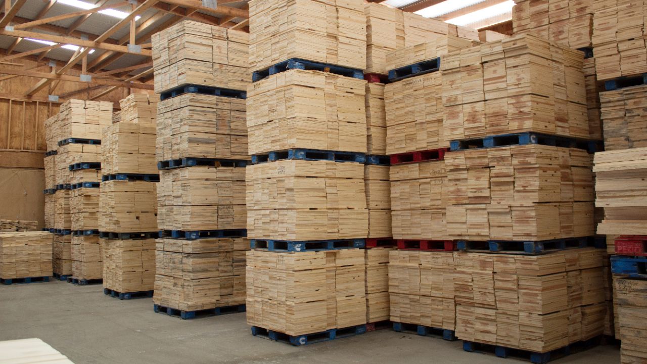 The Bee Journey Pursuits with Enterprise