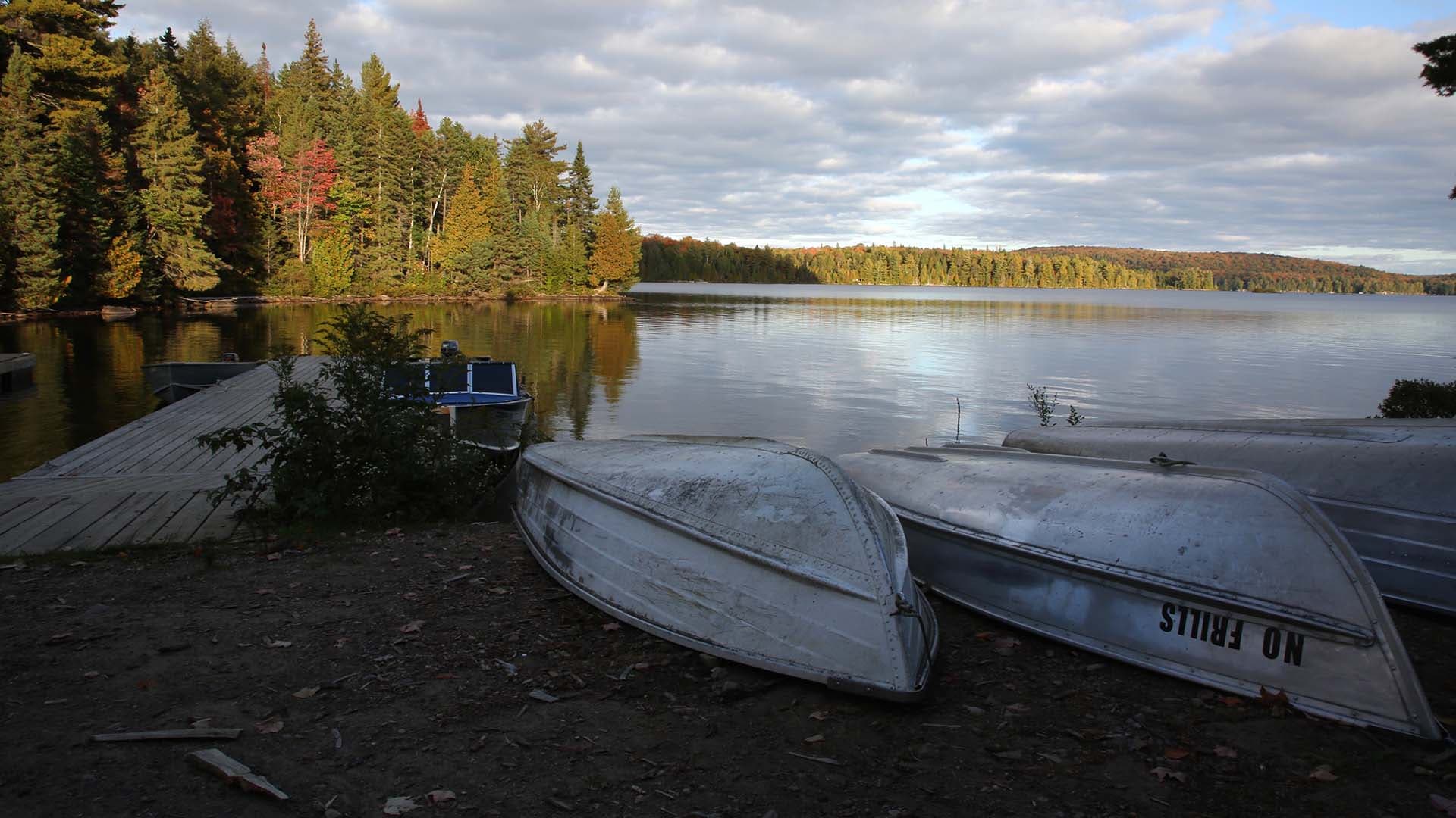 Algonquin Park Scenic Drive Pursuits with Enterprise Enterprise