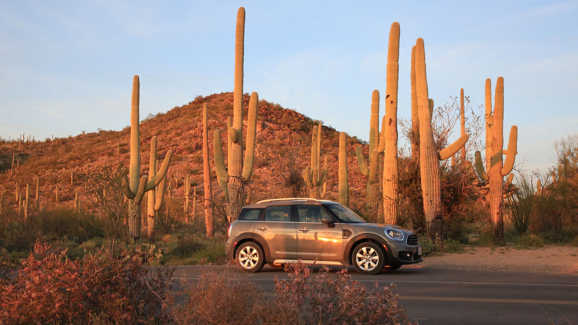 Road Trip to Saguaro National Park
