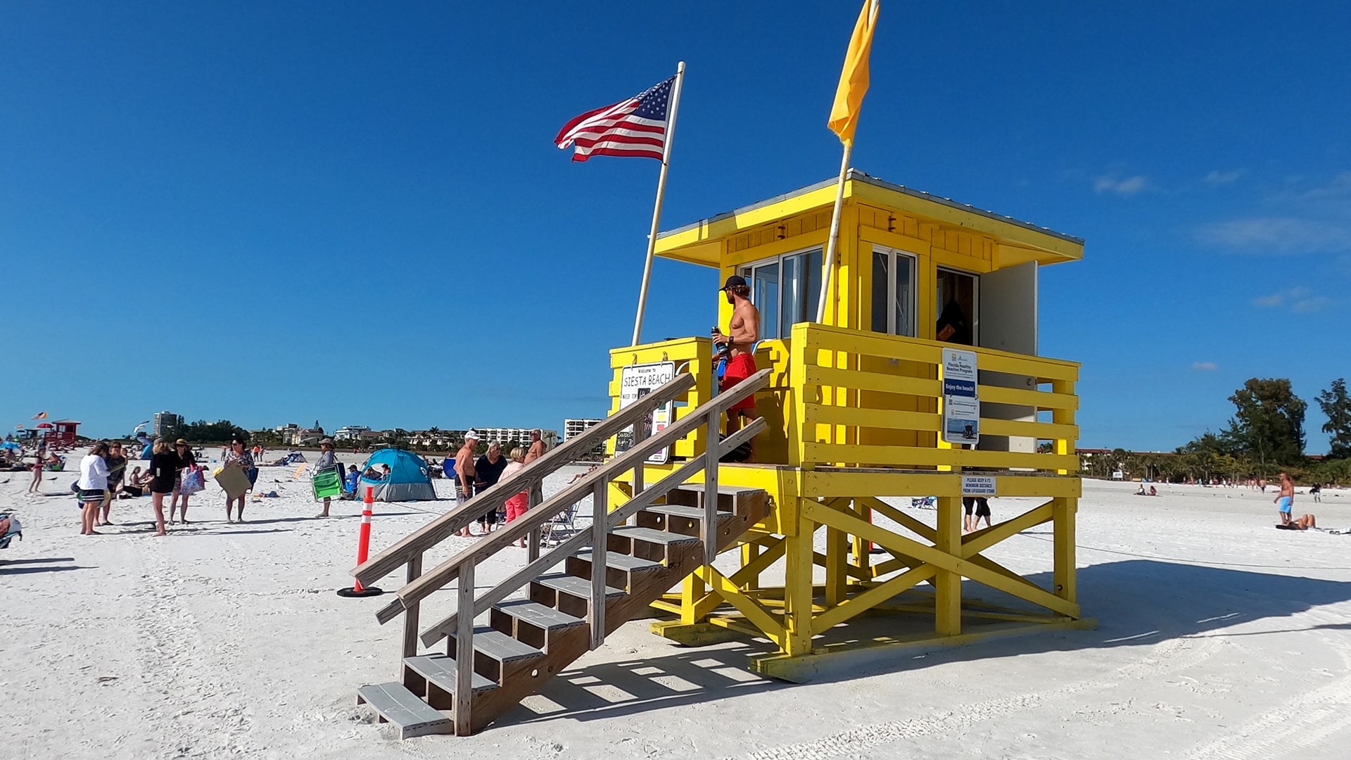 How to Find the Best Seashells on Siesta Key