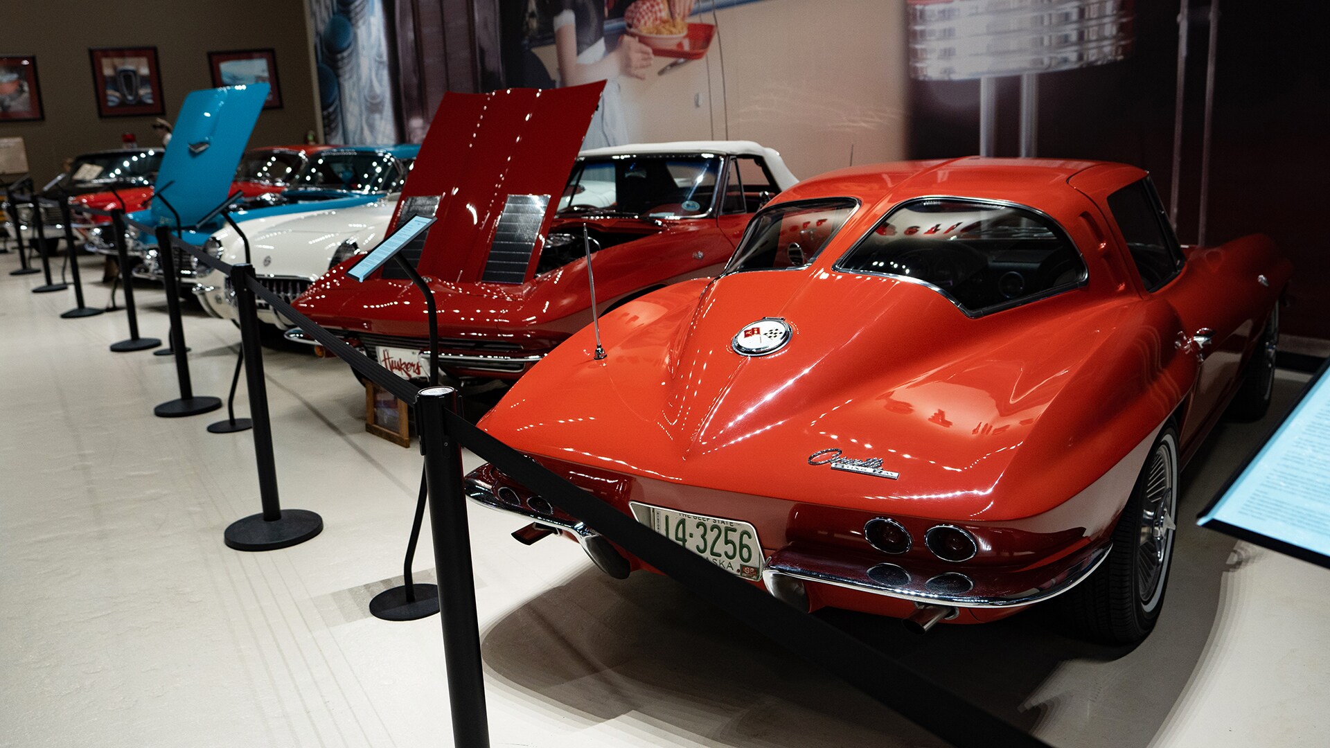 Finding Sandhill Cranes in Nebraska Pursuits with Enterprise