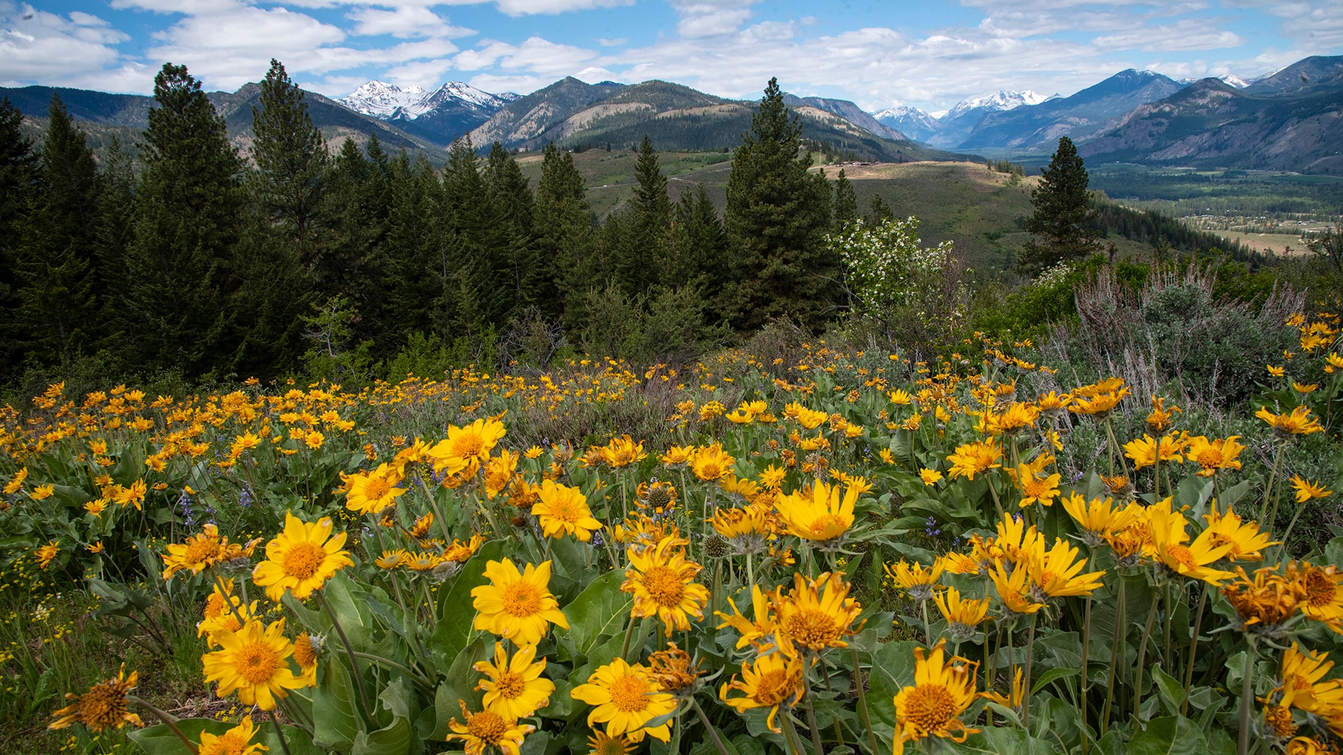 Cascades Loop Road Trip