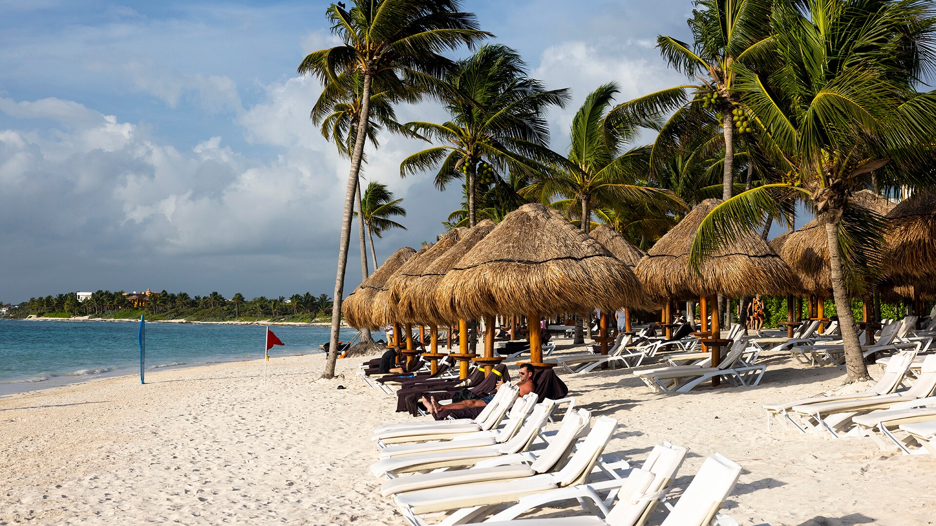 Palm trees sway on the beach in Akumal, Mexico.