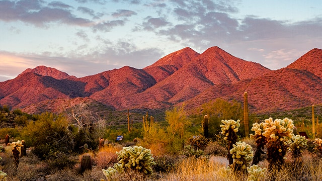 scottsdale