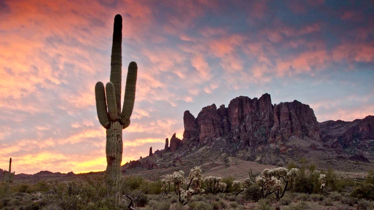 Sunrise at Lost Dutchman State Park over the Superstition Mountains.