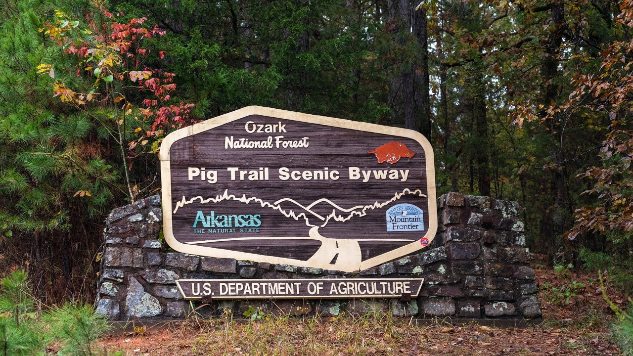 pig trail