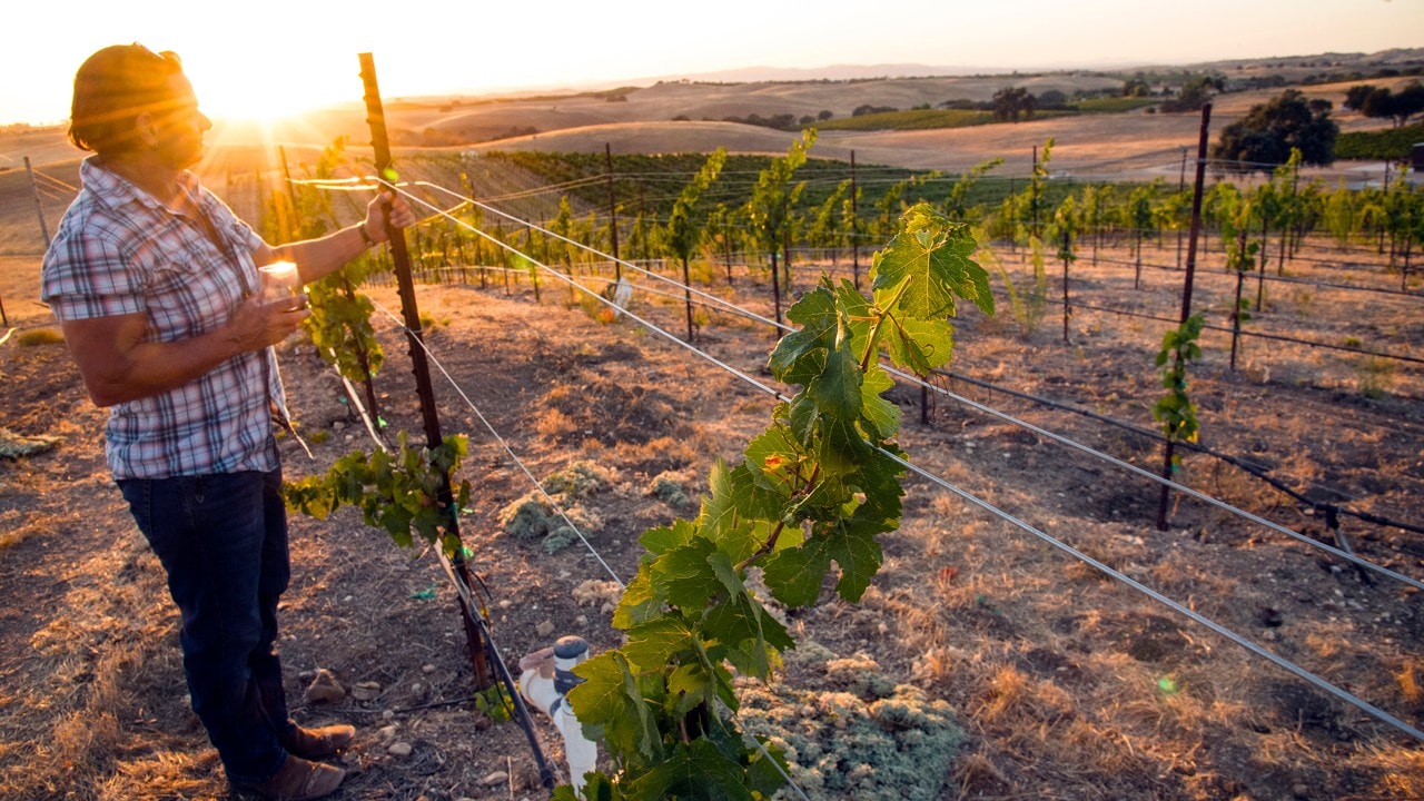 paso robles