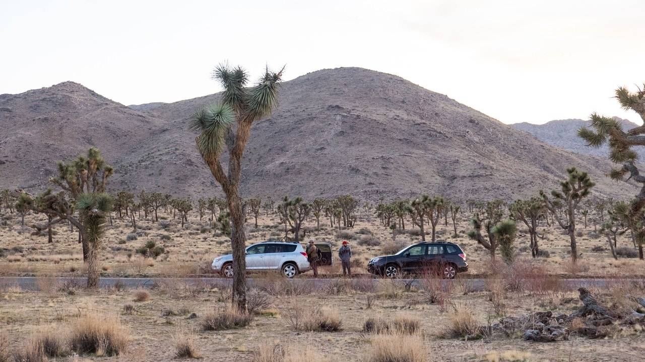joshua tree national park