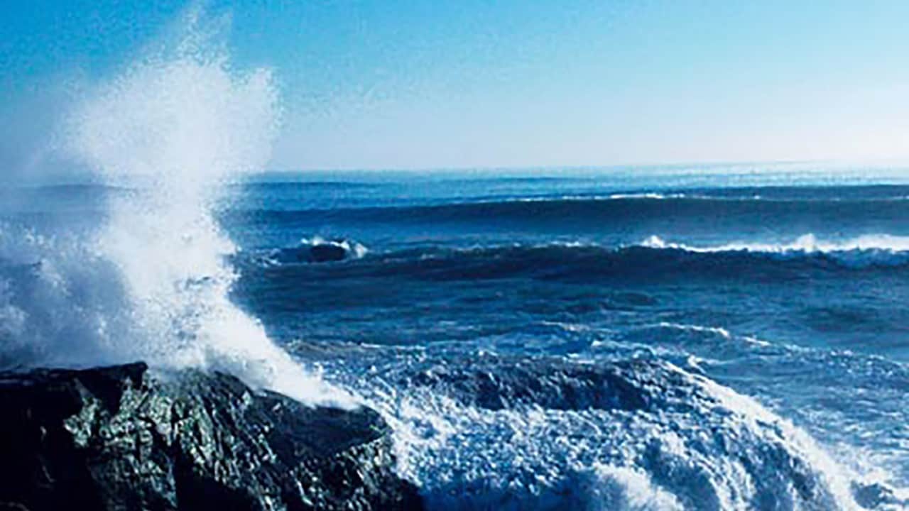 santa cruz