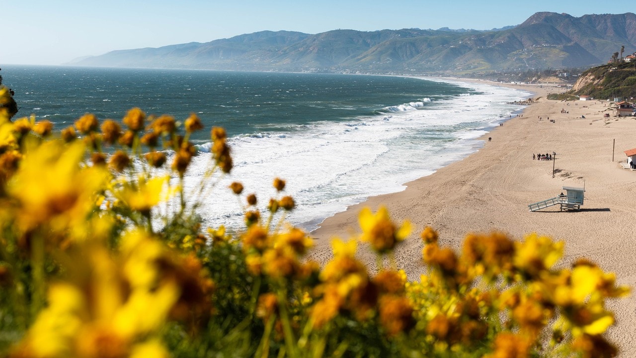 malibu