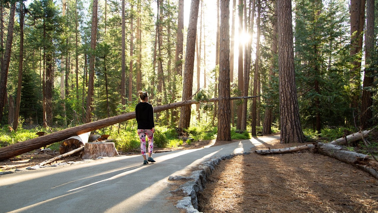 yosemite