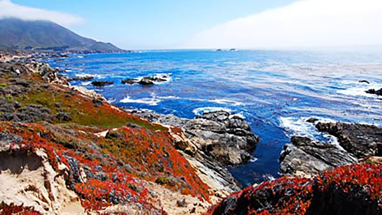 big sur