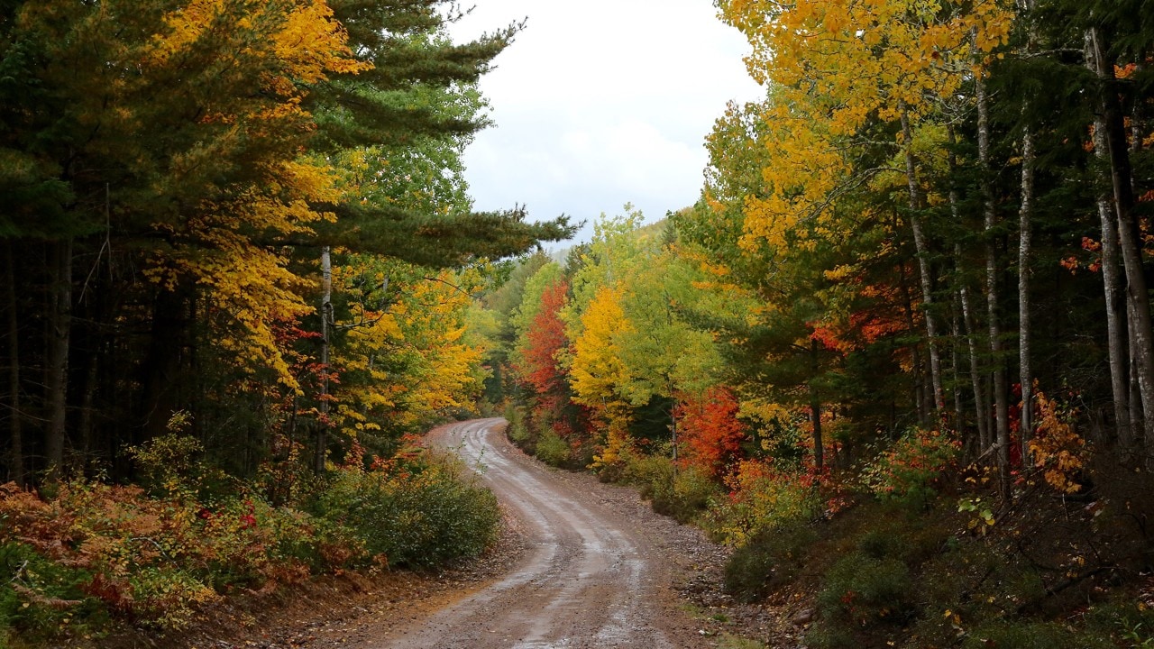 acadia national park