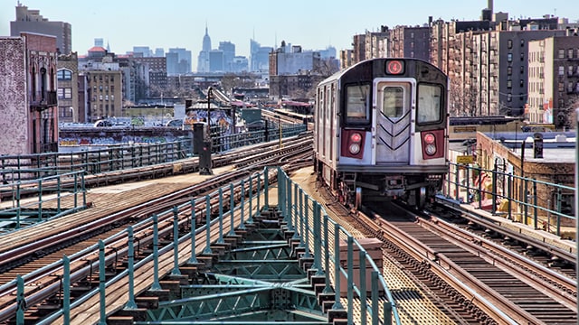 the bronx