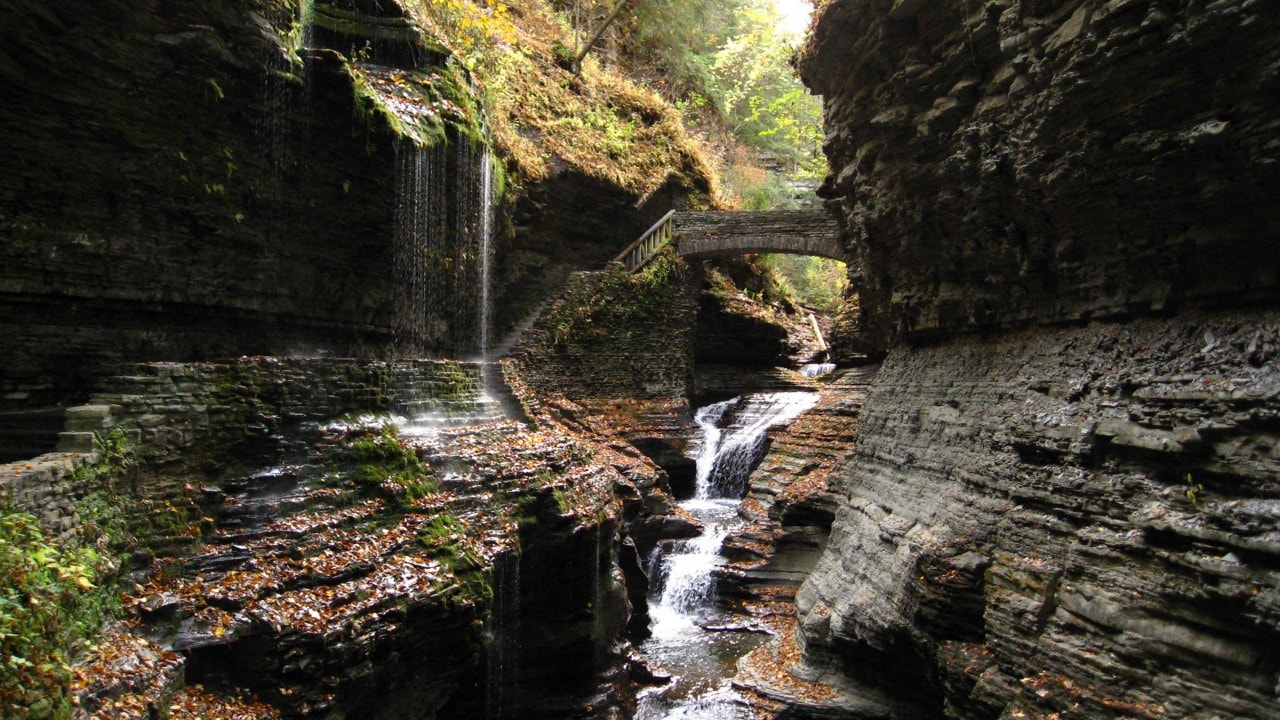 watkins glen state park