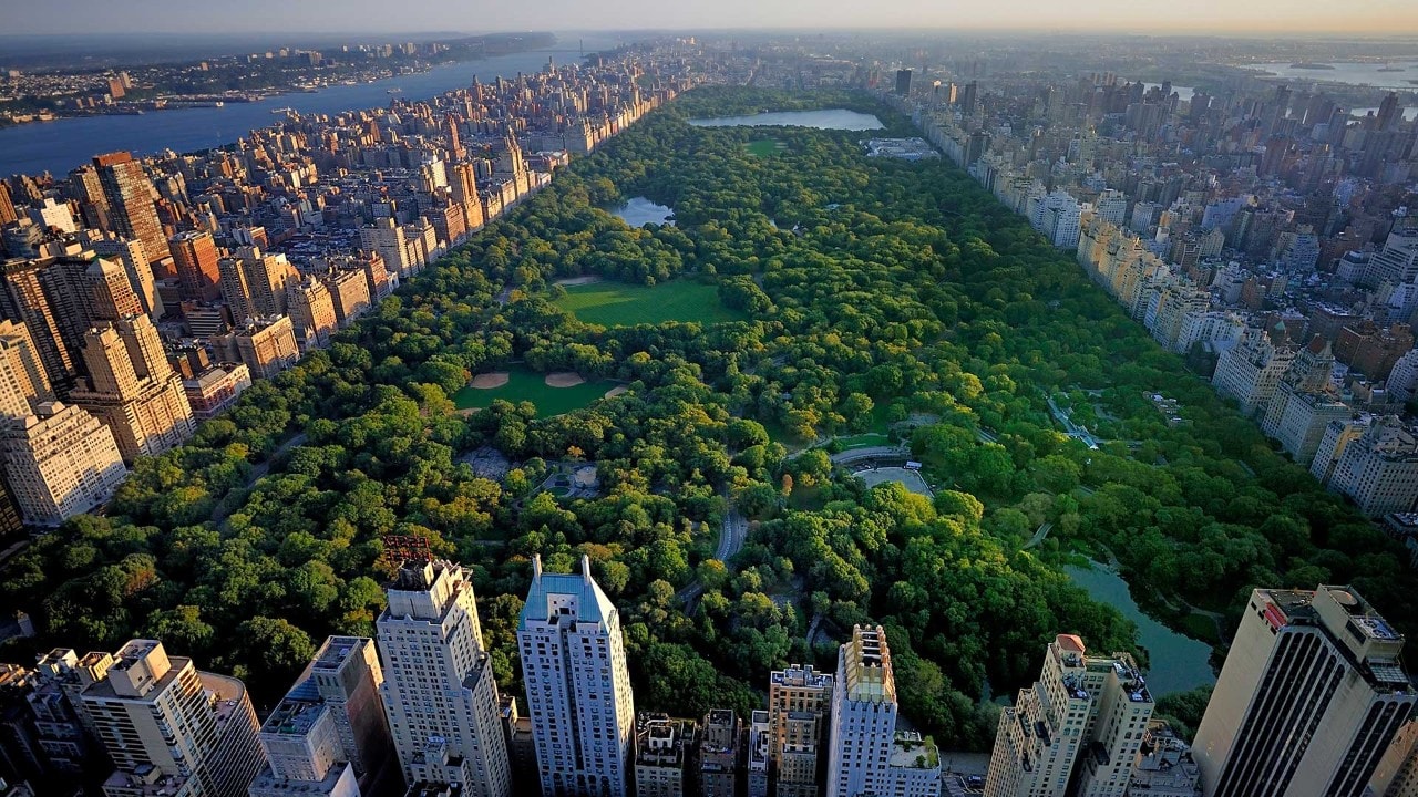 central park new york