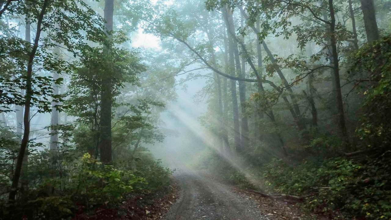 Blue Ridge Parkway during a foggy morning.