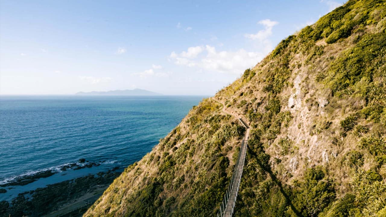 kapiti