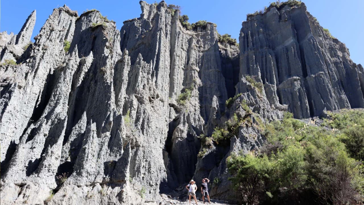 Cape Palliser