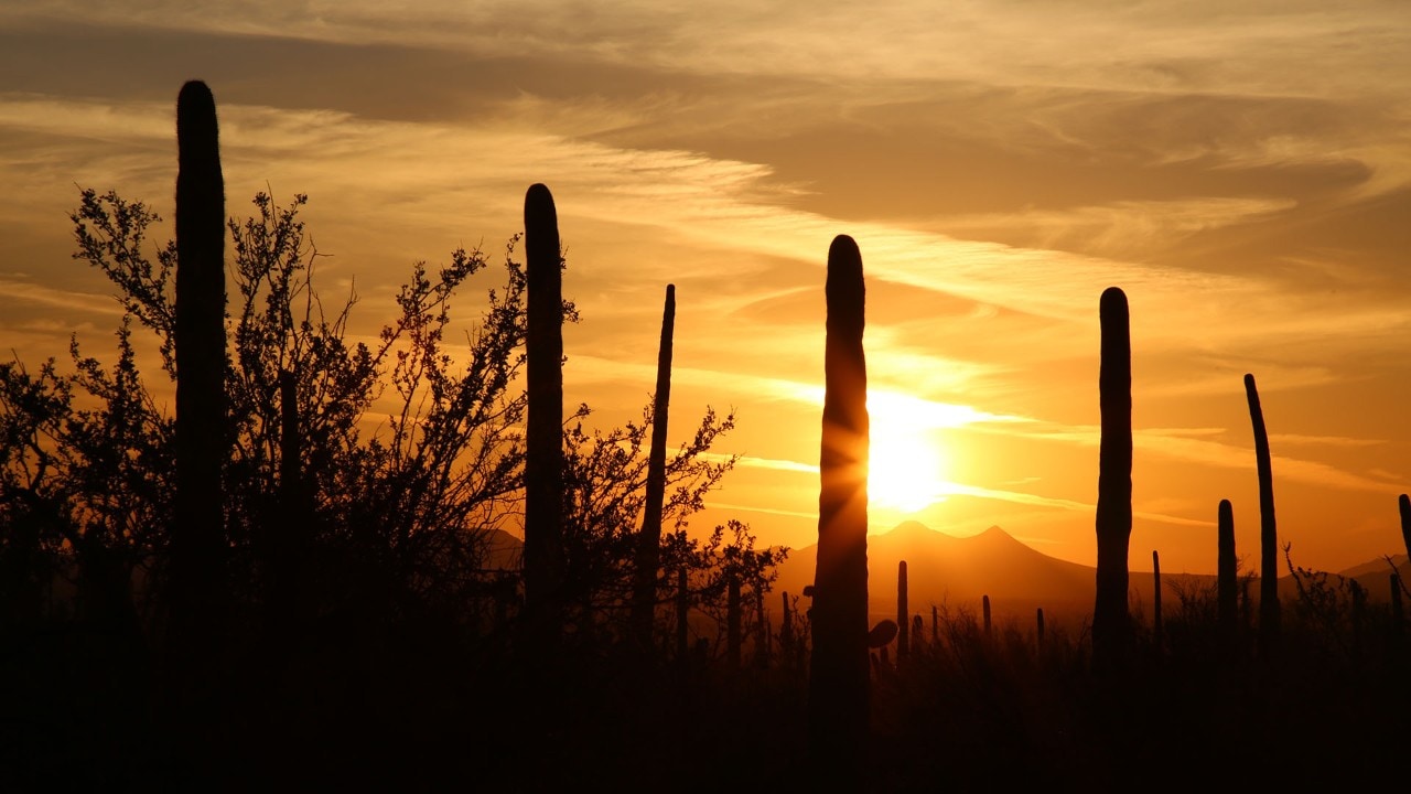 mesa desert