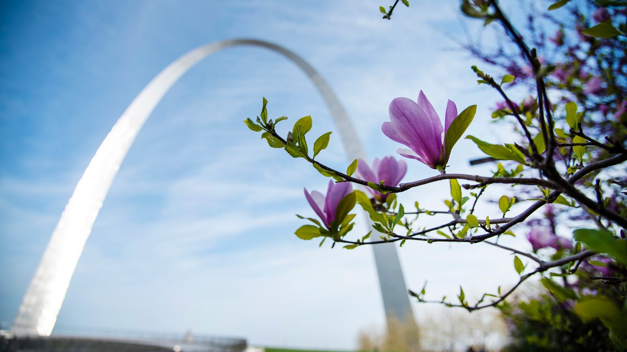 gateway arch in st louis