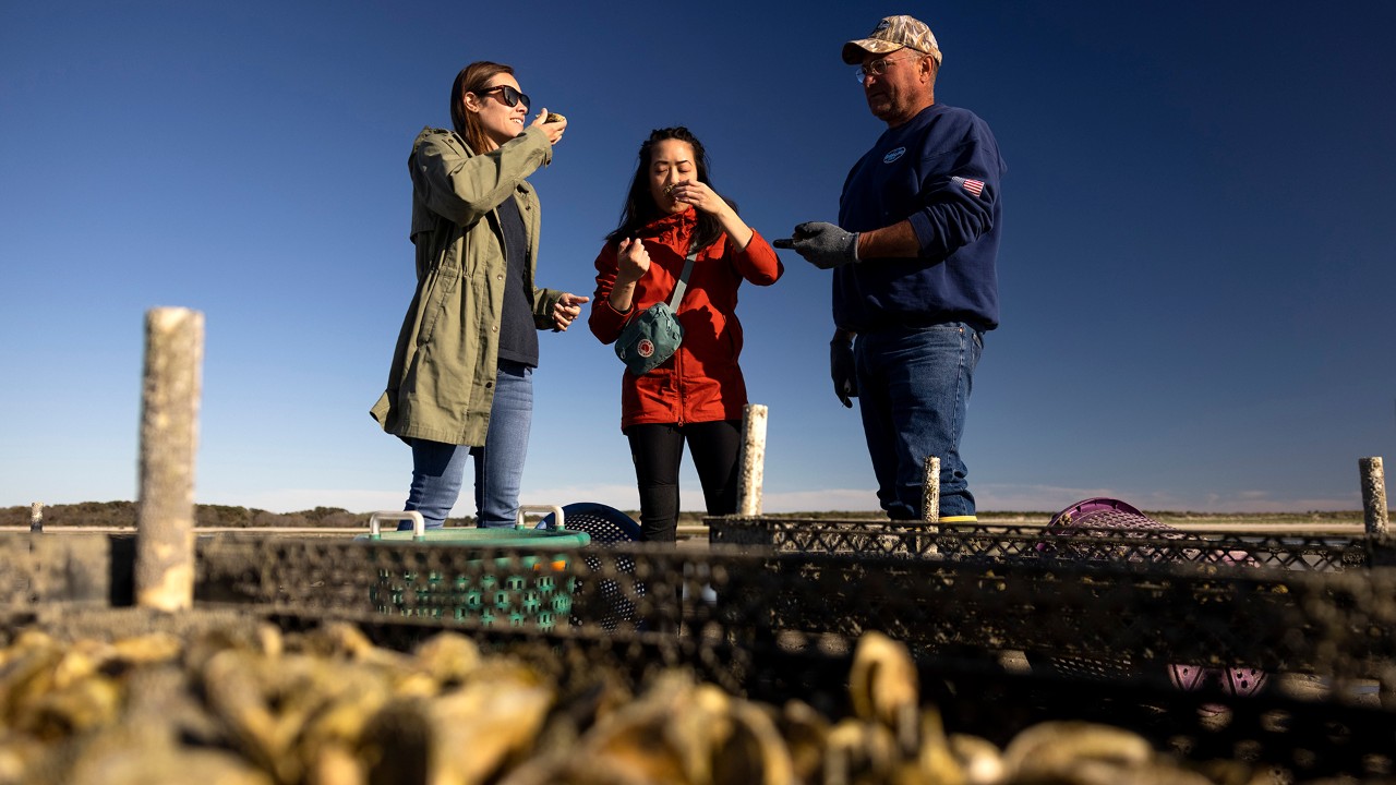 John Lowell (right) explains how he grows his oysters to author Kassondra Cloos (left) and Tammy To.