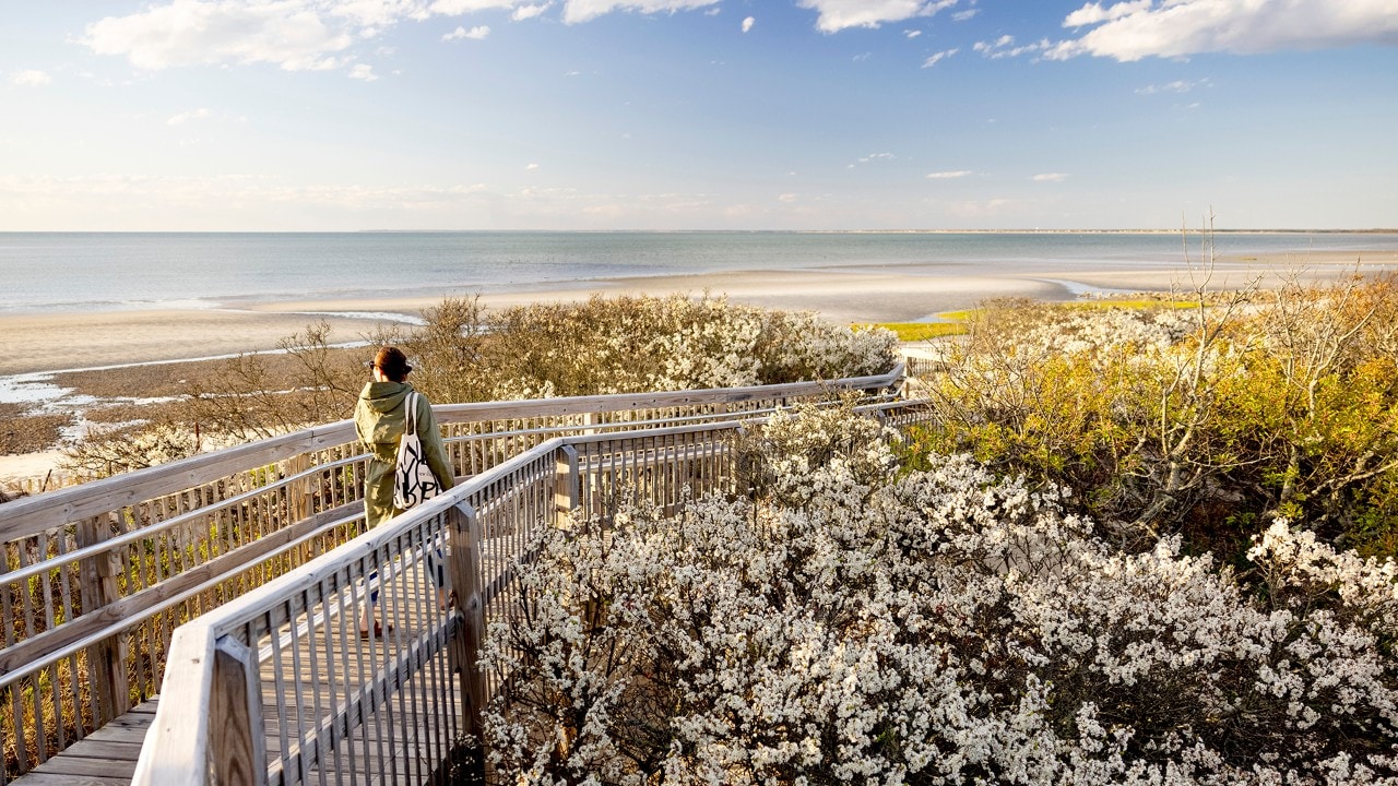 The boardwalk at Ocean Edge Resort & Golf Club leads to the beach.