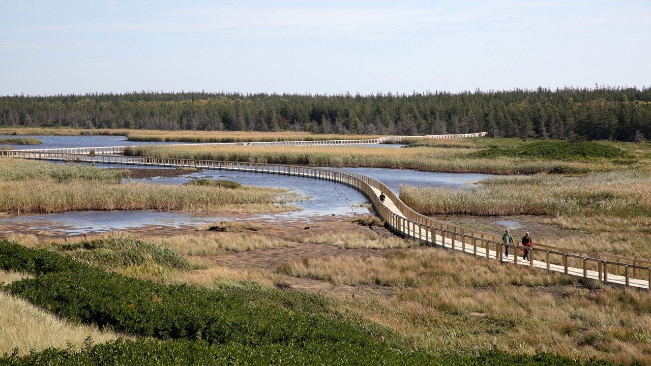 The Greenwich Dunes Trail has a floating boardwalk.