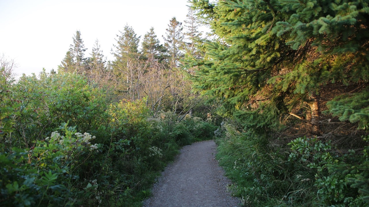 A hiking trail at the foot of the Confederation Bridge, which connects New Brunswick to Prince Edward Island.