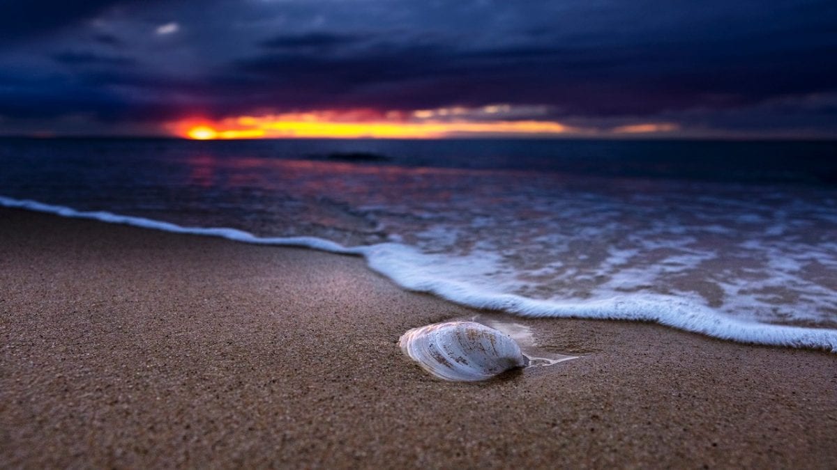 Artsy Provincetown Offers an Inclusive Getaway Pursuits with