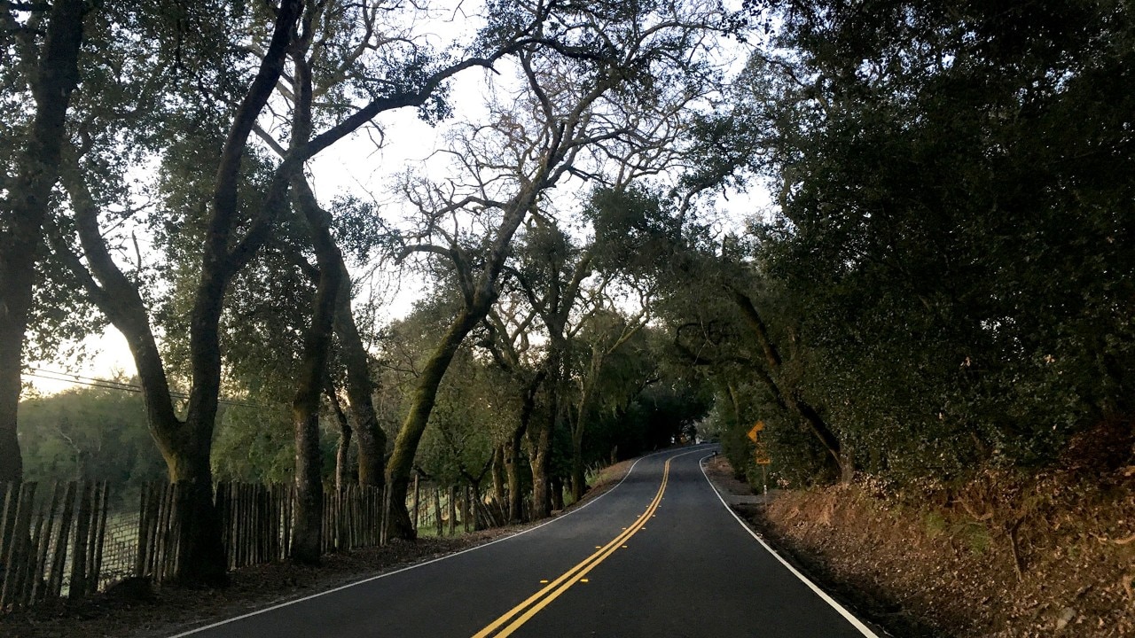 The drive to Armstrong Redwoods State Nature Reserve passes through wine country.