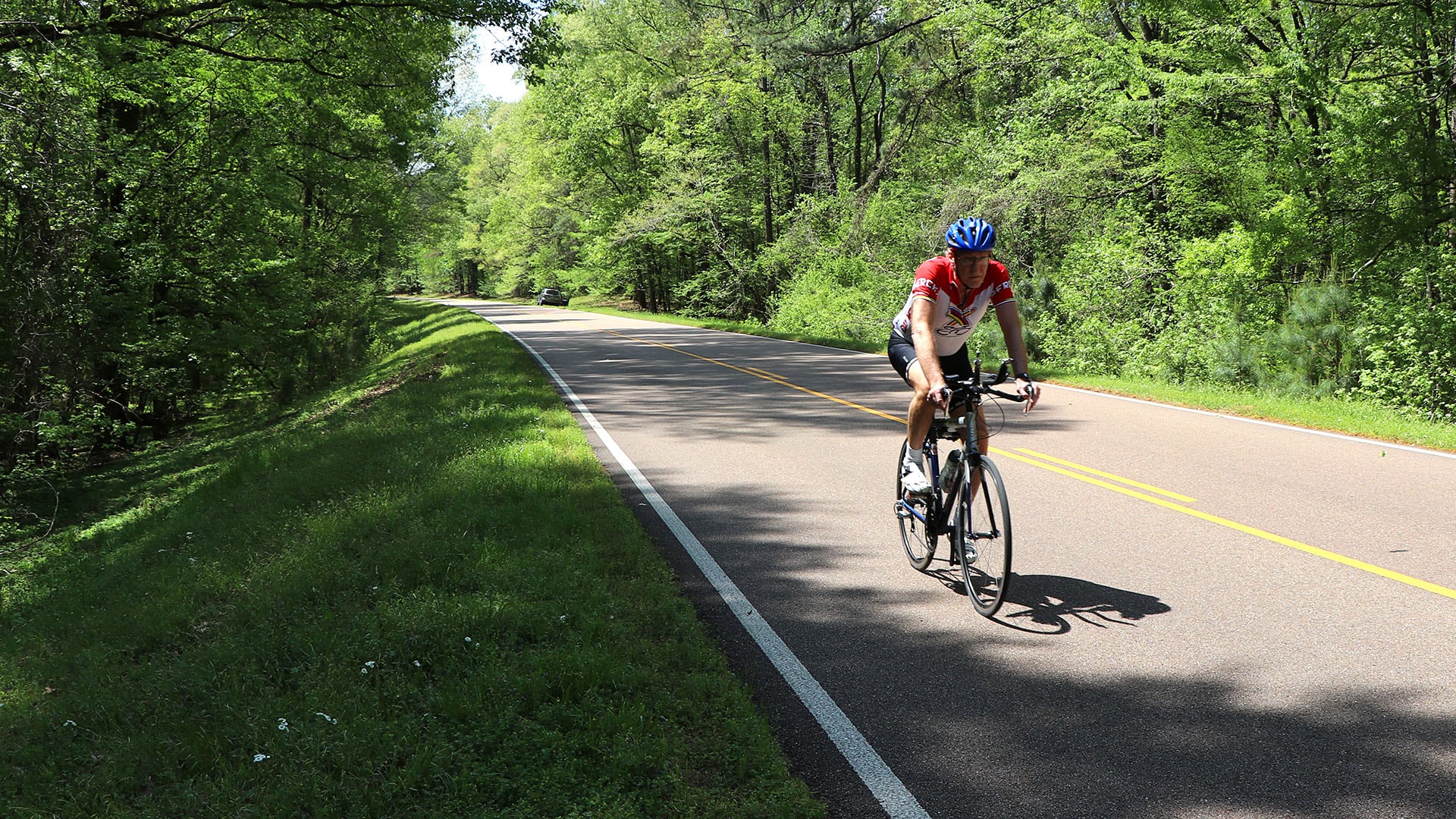 Cruising the Natchez Trace Parkway Pursuits with Enterprise