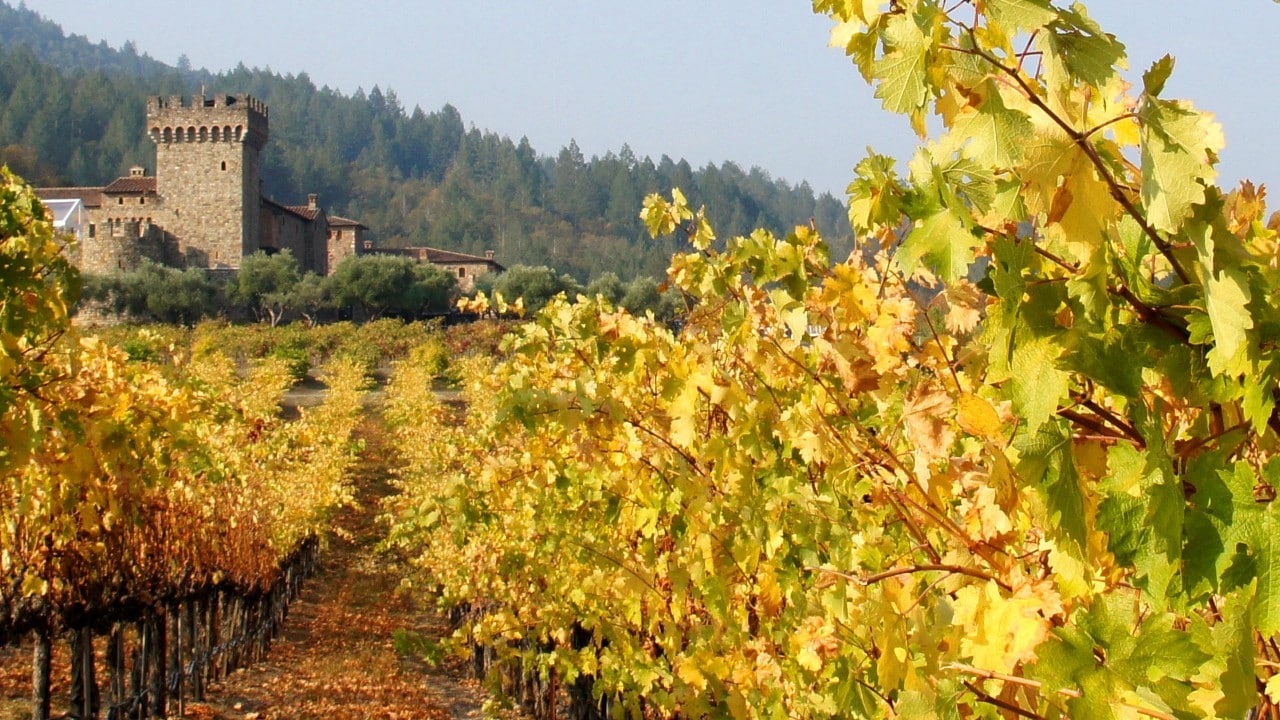 Some of Castello di Amorosa's vineyards are on the grounds of the unique winery in Calistoga.