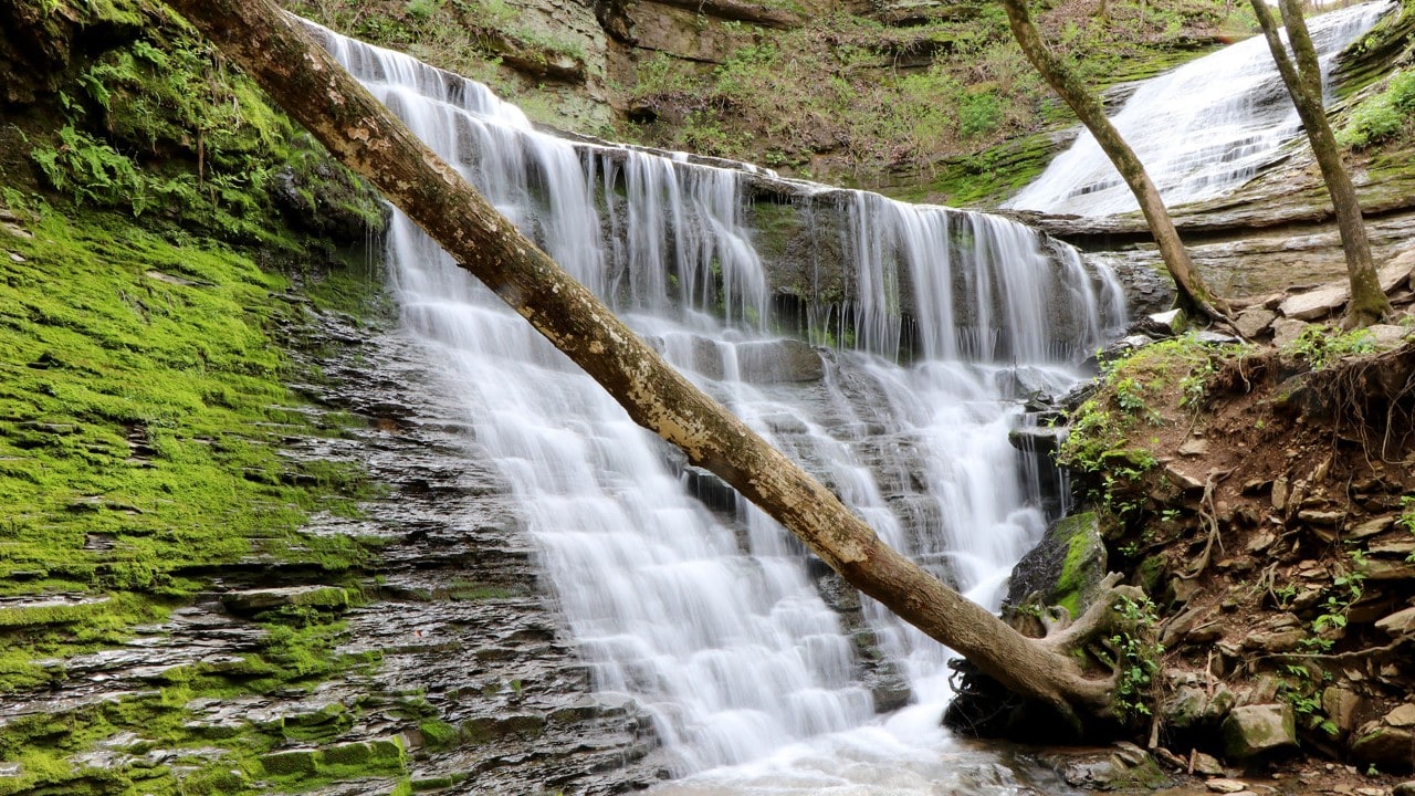 Jackson Falls is one of the lovely waterfalls found along the Natchez Trace Parkway.