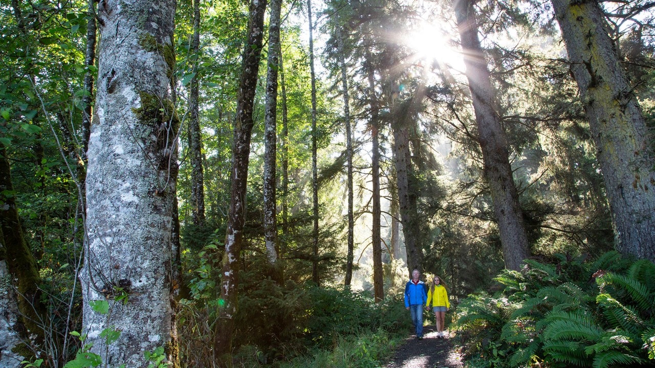 A couple hikes through Hug Point State Park. Photo by Brad Clement