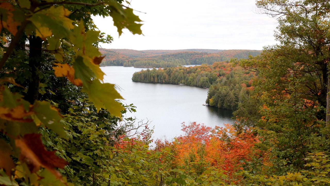 Hardwood Lookout Trail view
