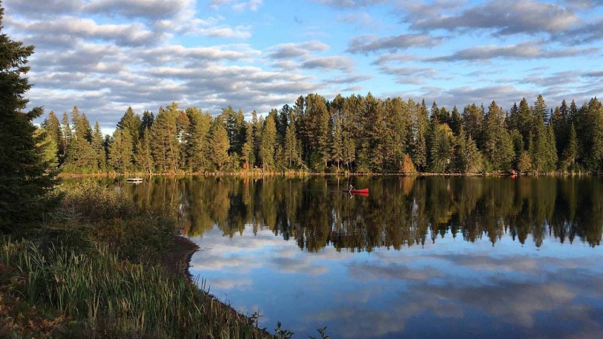 Algonquin Park Scenic Drive Pursuits with Enterprise Enterprise