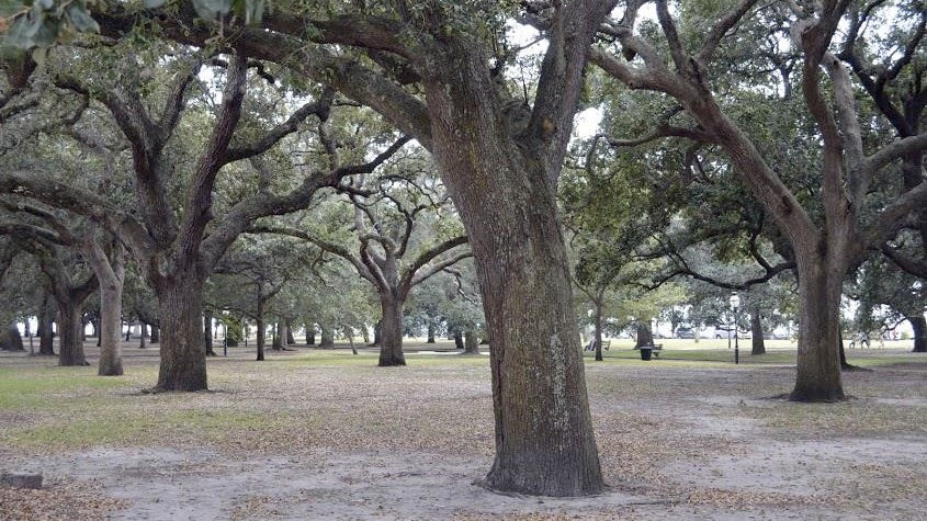 White Point Garden.