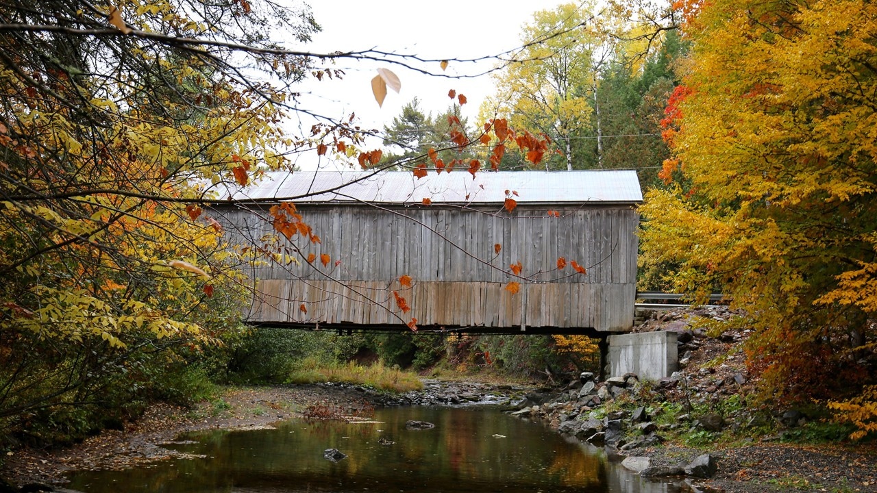 Wooden bridge in Fundy National Park.