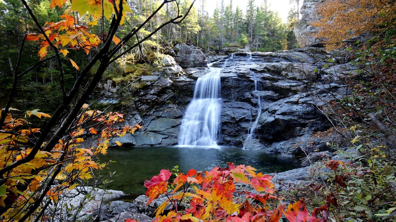 Laverty Falls in Fundy National Park.