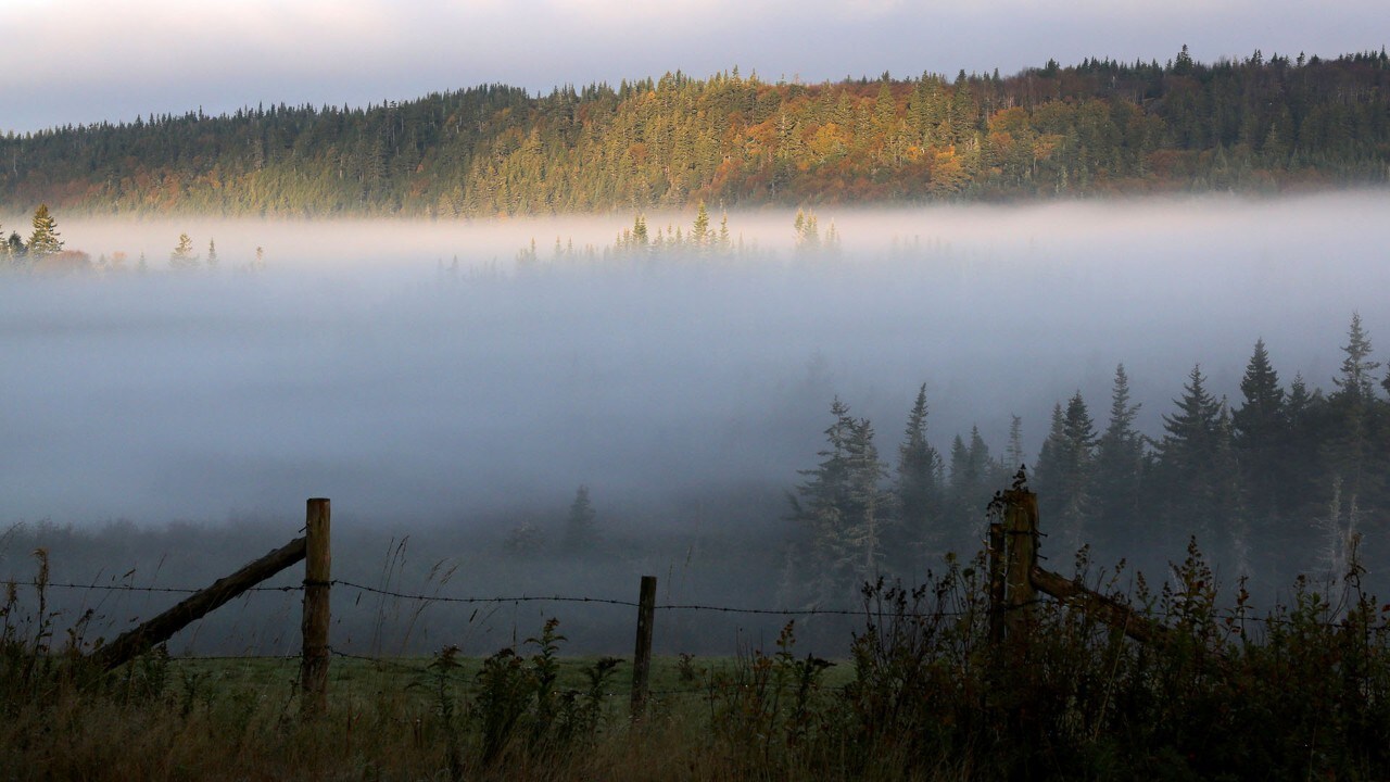 The sun rises along the foggy New Brunswick coast.